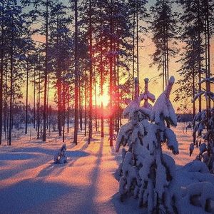 精品国产三级电影院
